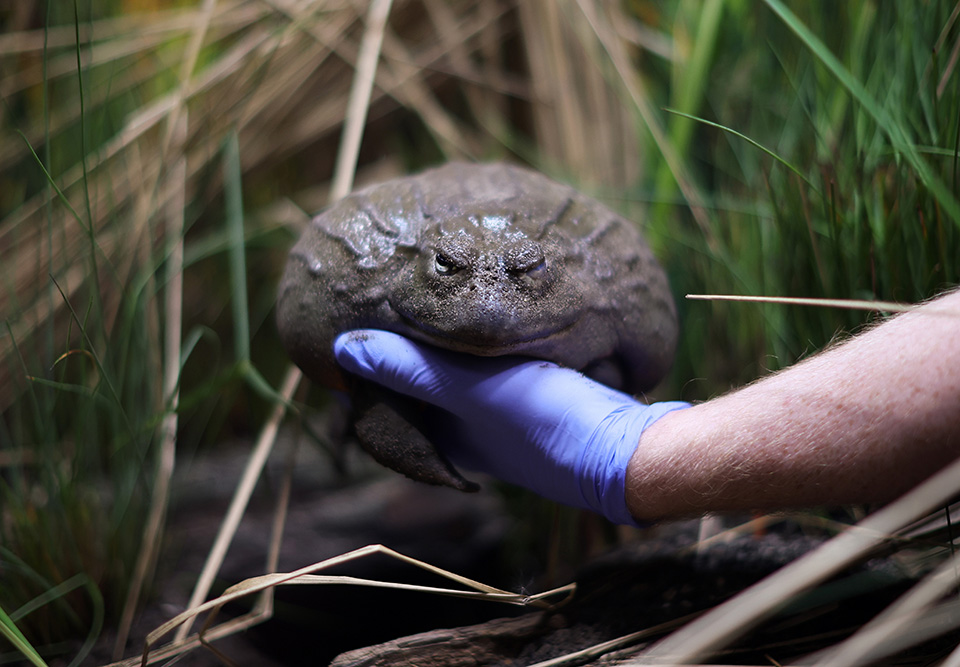 Επίδειξη ικανοτήτων-2