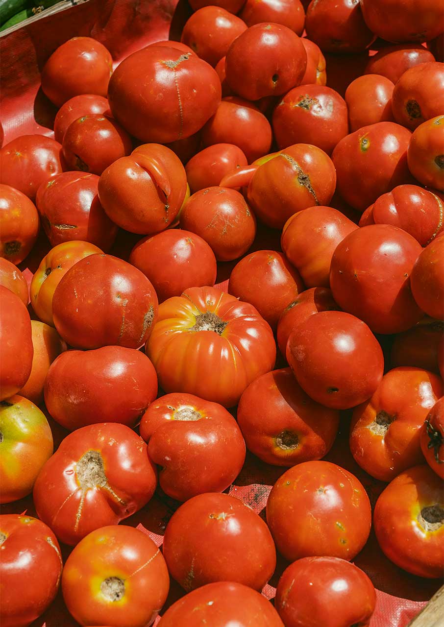 Κρήτη: Τα καλύτερα μαγειρεία και εστιατόρια στο Ηράκλειο που αξίζει να δοκιμάσετε-7