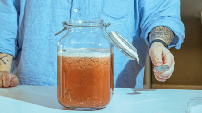 γάρος-563507404