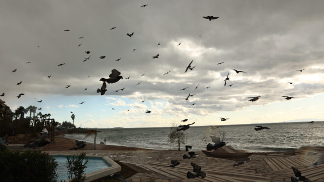 καιρός-χειμωνιάτικο-σκηνικό-με-πτώση-563497030