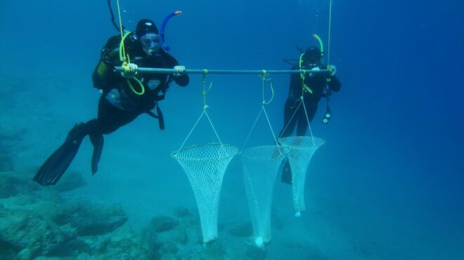 τα-βγάλατε-όλα-αυτά-από-τη-θάλασσα-της-563503546