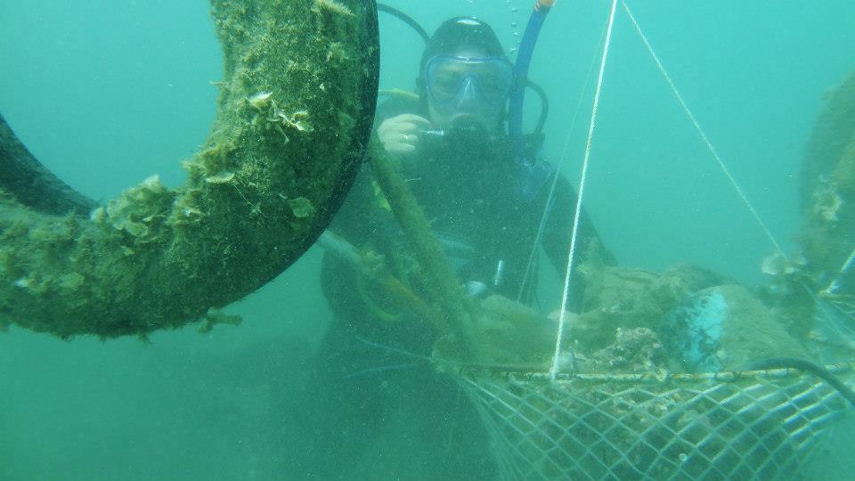 Οι «Κόρες της Καλύμνου» που καθαρίζουν τους ελληνικούς βυθούς-4