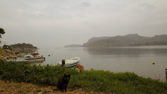 καιρός-επιμένει-και-σήμερα-η-σκόνη-π-563533960