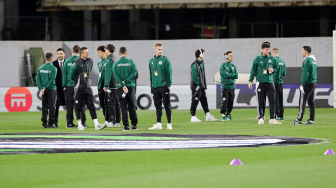 αν-κρυφτούν-πίσω-από-το-δέντρο-θα-χαθεί-563516872