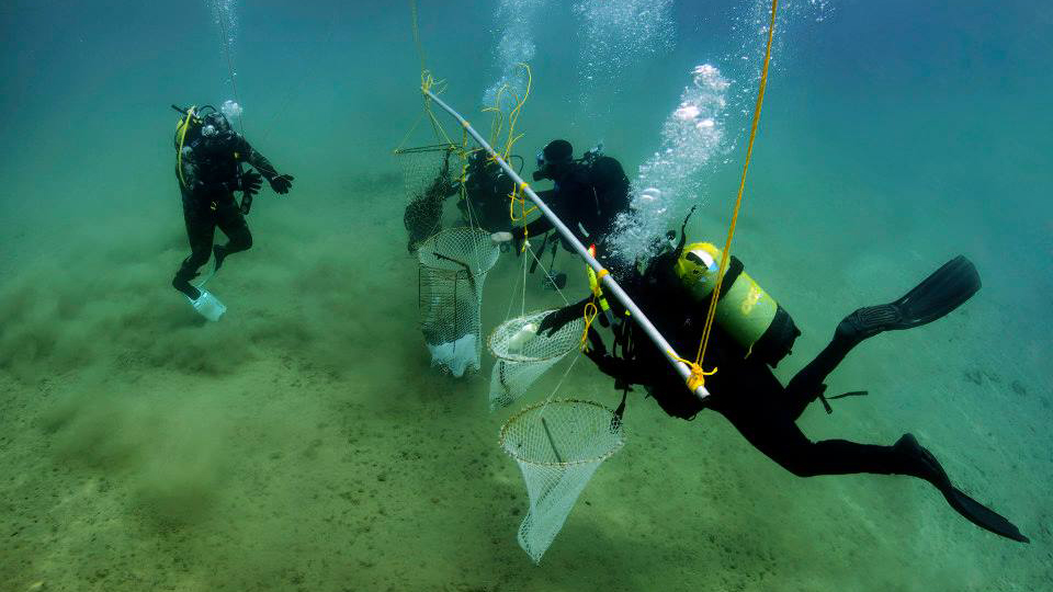 Οι «Κόρες της Καλύμνου» που καθαρίζουν τους ελληνικούς βυθούς-7