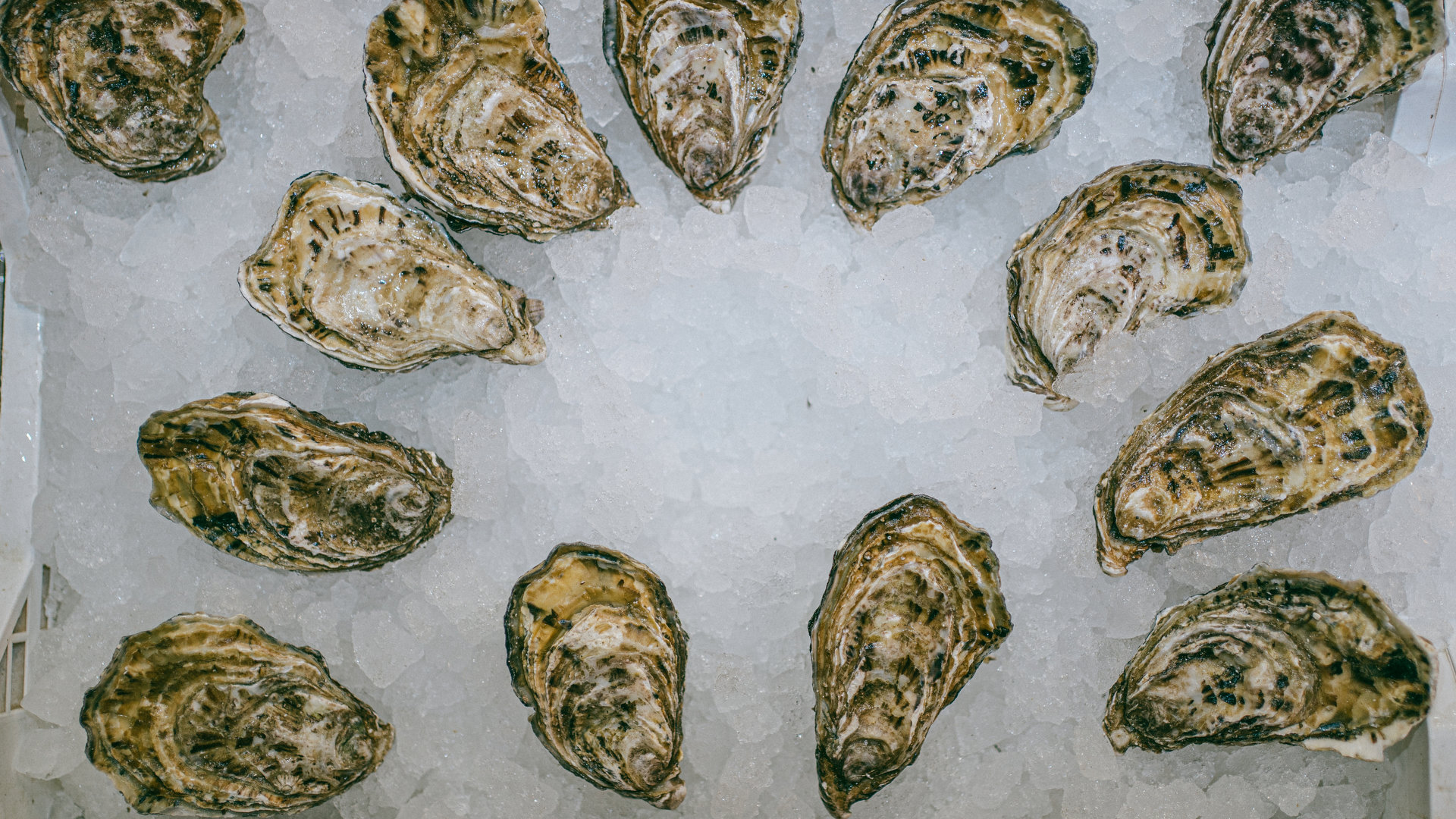 Εβδομάδα Γαλλικής Γαστρονομίας, ένα συμμετοχικό ελληνογαλλικό τραπέζωμα-3