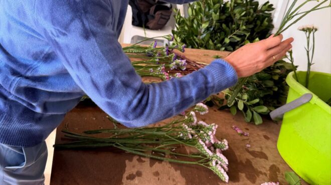 η-σφραγίδα-που-καθορίζει-τη-ζωή-τους-563513182