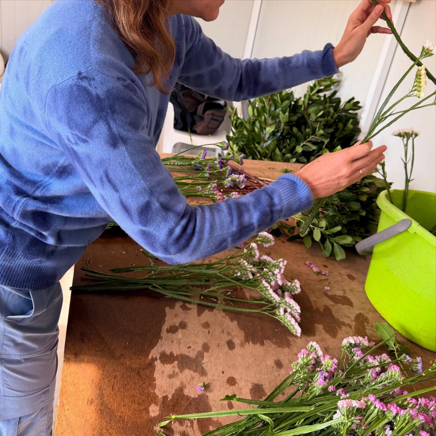 η-σφραγίδα-που-καθορίζει-τη-ζωή-τους-563513182