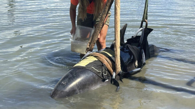 κεραυνός-εν-αιθρία-ψάρευαν-όταν-ιπ-563498974