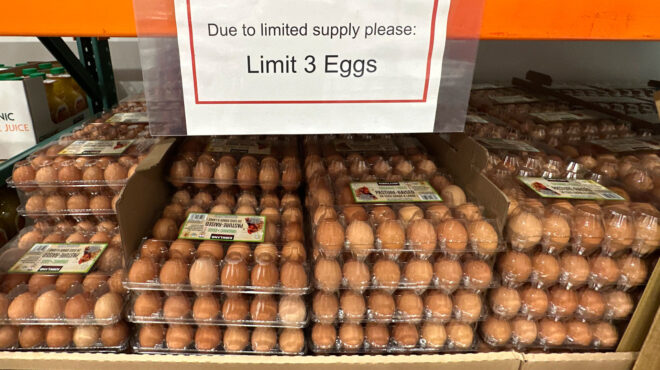 οι-ηπα-στρέφονται-σε-τουρκία-και-νότια-563527498