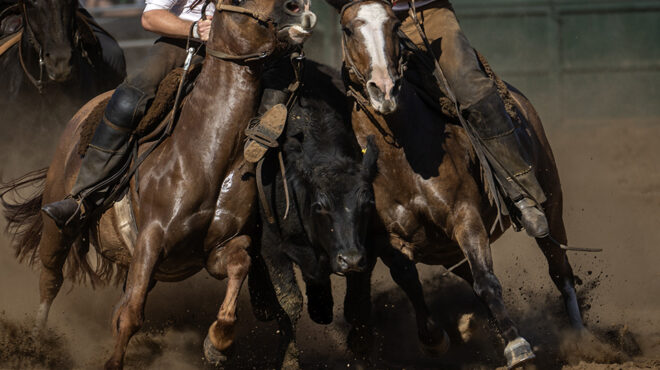 επίδειξη-ικανοτήτων-563541265