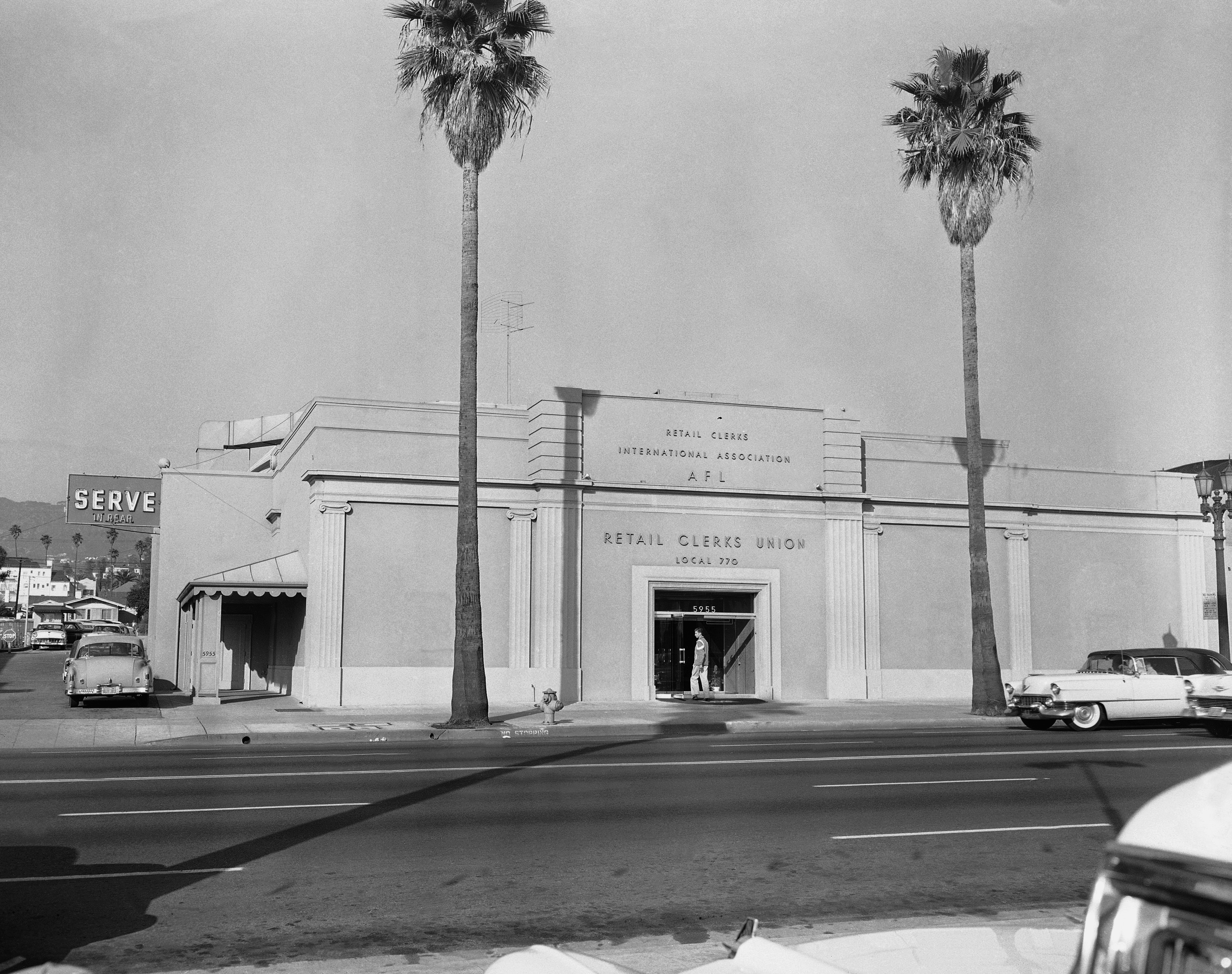 Γιατί οι Καλιφορνέζοι δεν θέλουν πια τους εμβληματικούς φοίνικες;-2