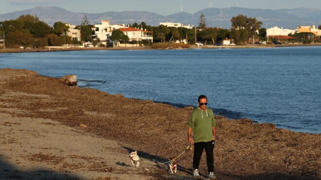 κυριακή-με-ηλιοφάνεια-σχεδόν-σε-όλη-τη-563506978