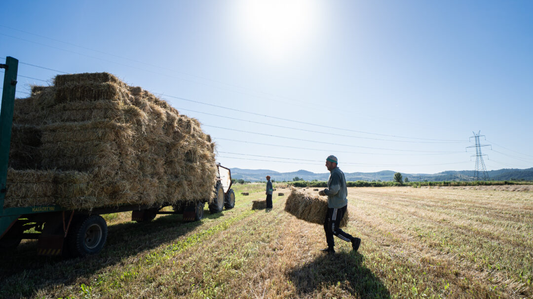 πόσες-εργατοώρες-καίει-η-κλιματική-563499400