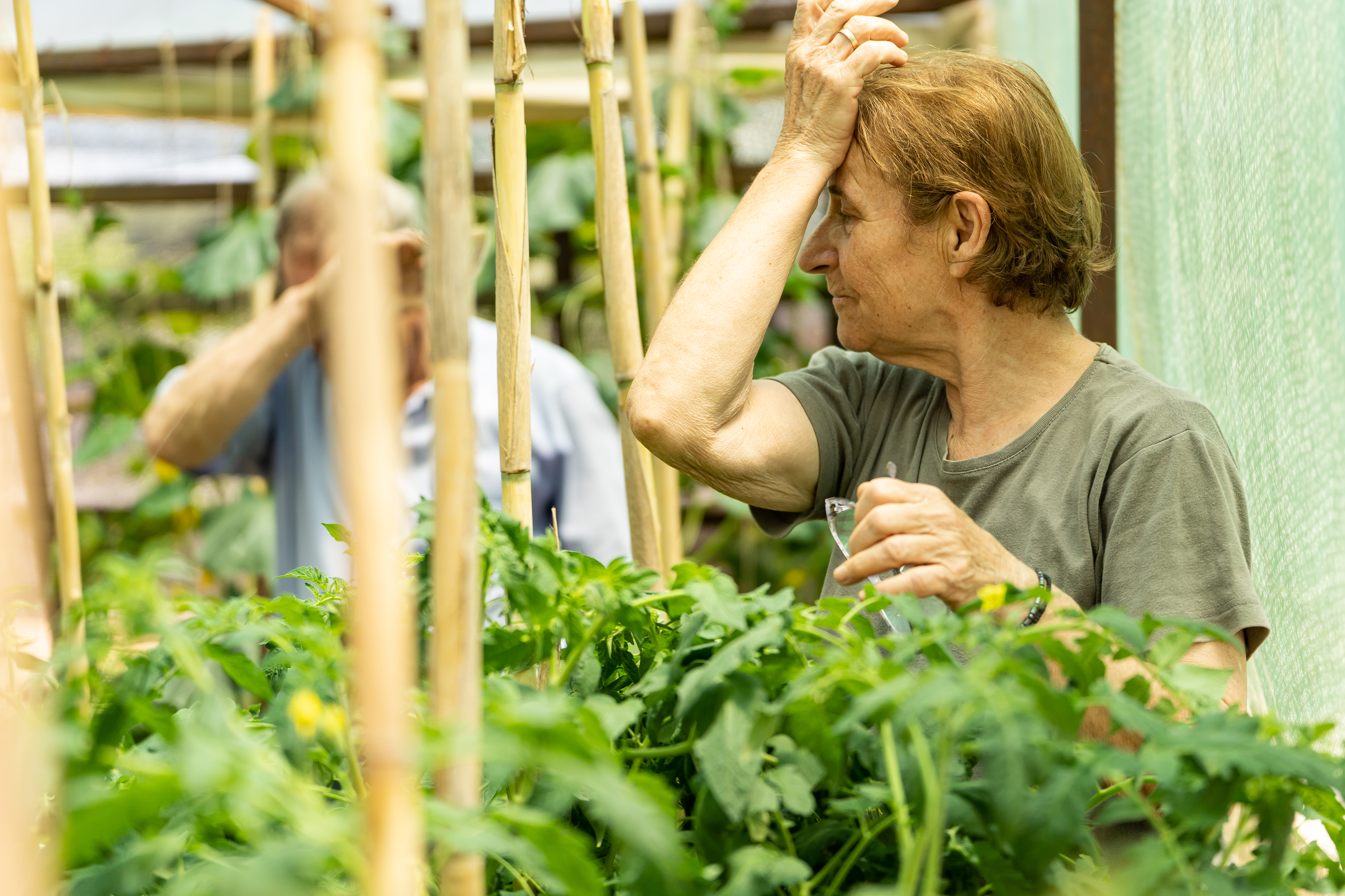 Πόσες εργατοώρες «καίει» η κλιματική κρίση-5