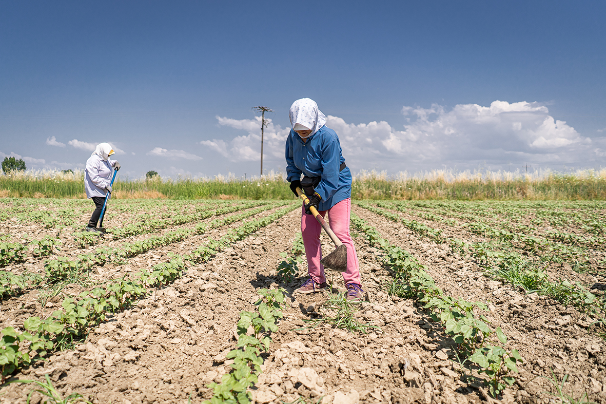 Πόσες εργατοώρες «καίει» η κλιματική κρίση-8