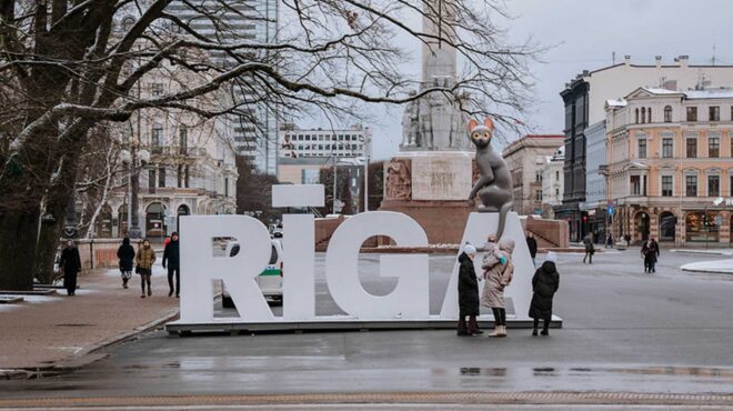 πώς-μία-γάτα-έγινε-εθνική-ηρωίδα-της-λε-563509942