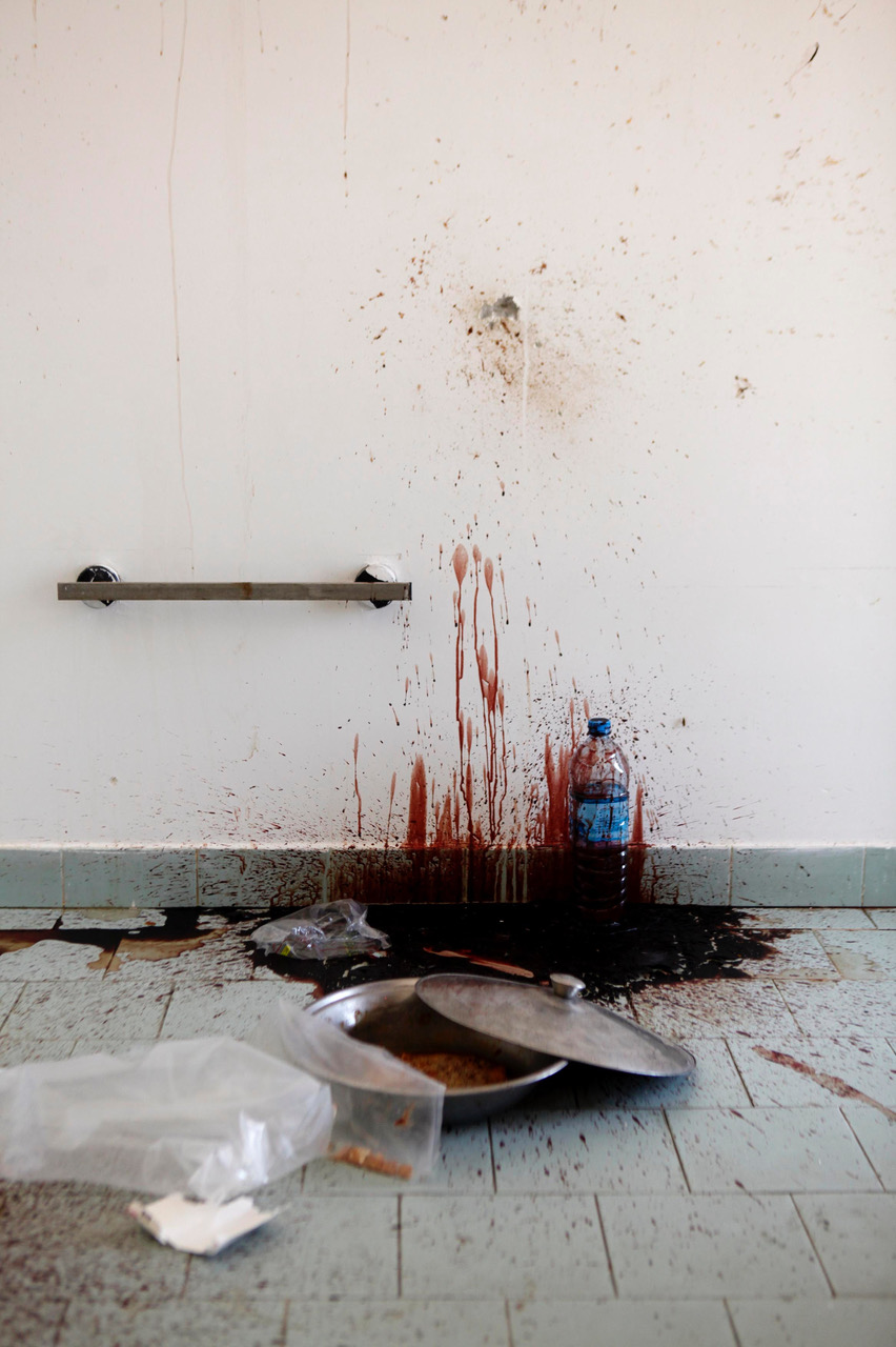 Ρον Χαβίβ στην «Κ»: «Ετρεμα όταν τραβούσα αυτήν την εικόνα»-12