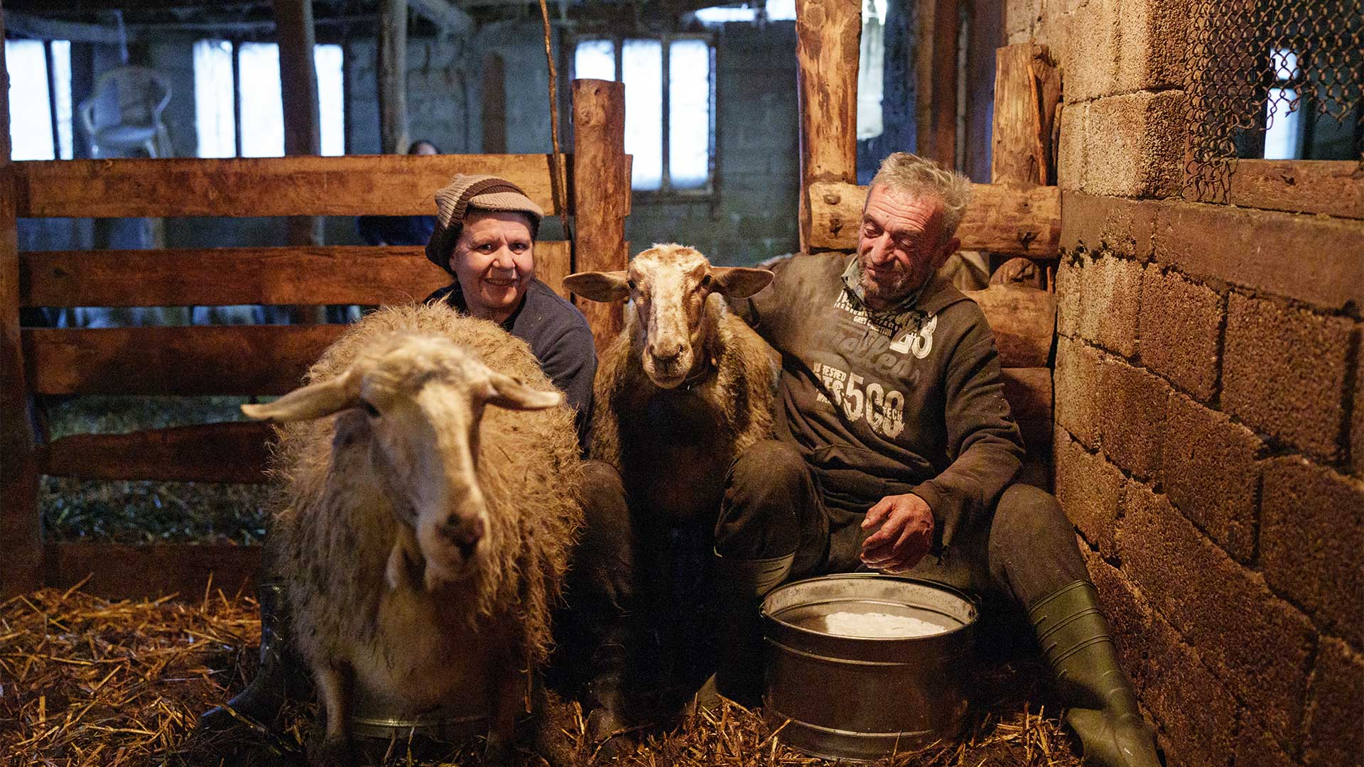Φέτα, τσίπουρο, λουκάνικο… και φύγαμε για Τρίκαλα!-1