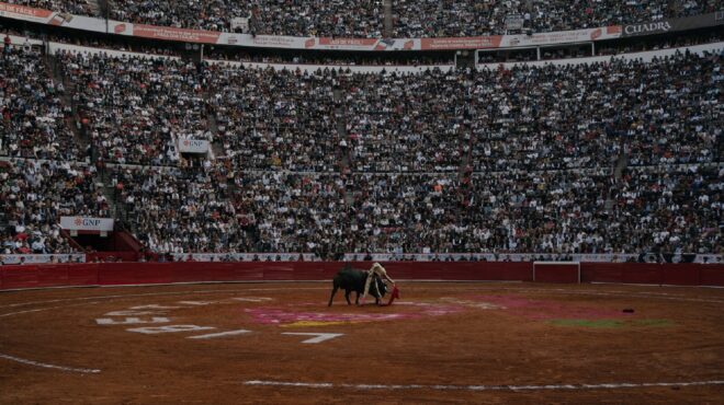 τέλος-στη-θανάτωση-ταύρων-βάζει-η-δήμα-563513965