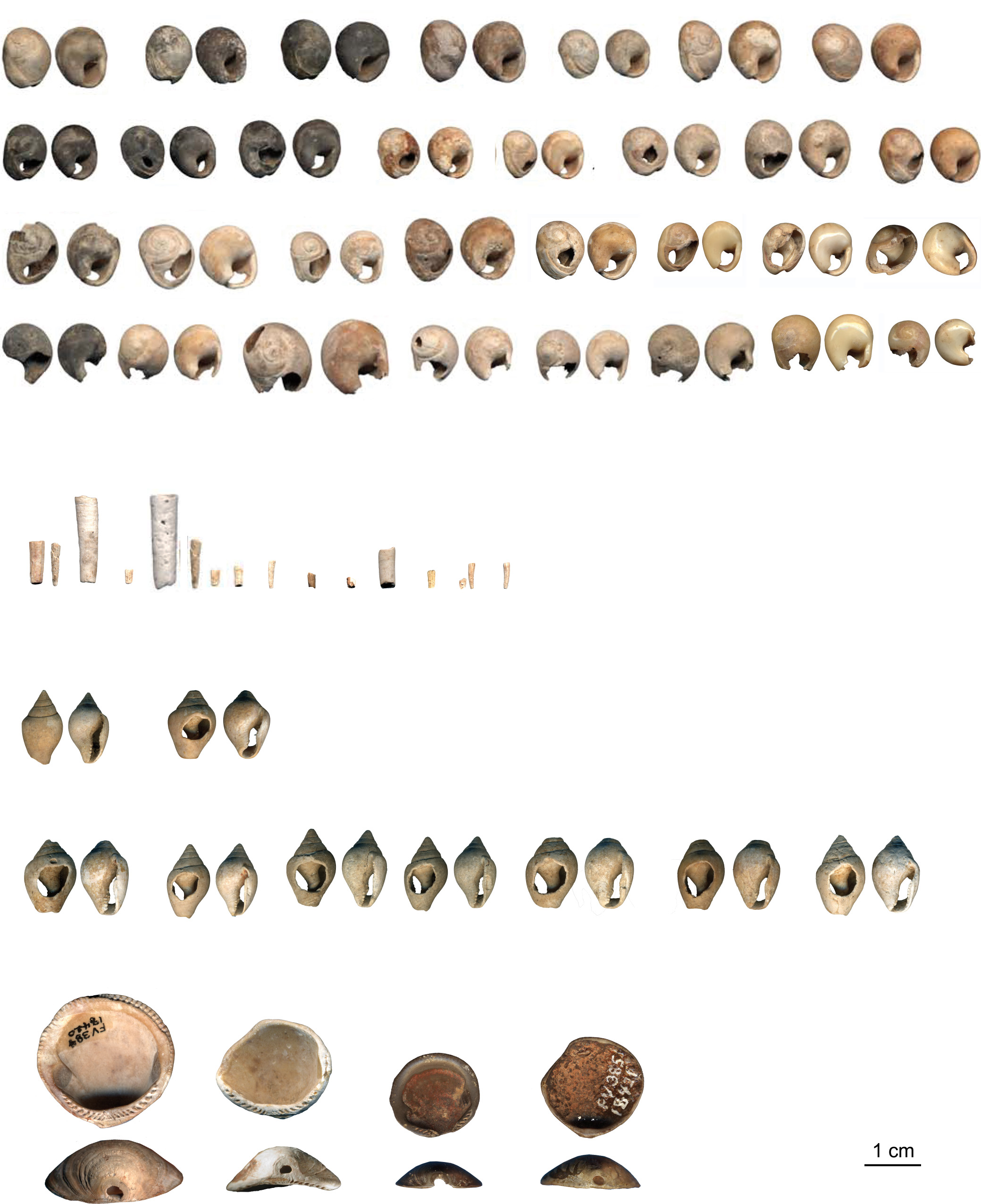 Σπήλαιο Φράγχθι: Οι προϊστορικοί άνθρωποι «λάτρευαν να διακοσμούν τον εαυτό και τα ρούχα τους»-1