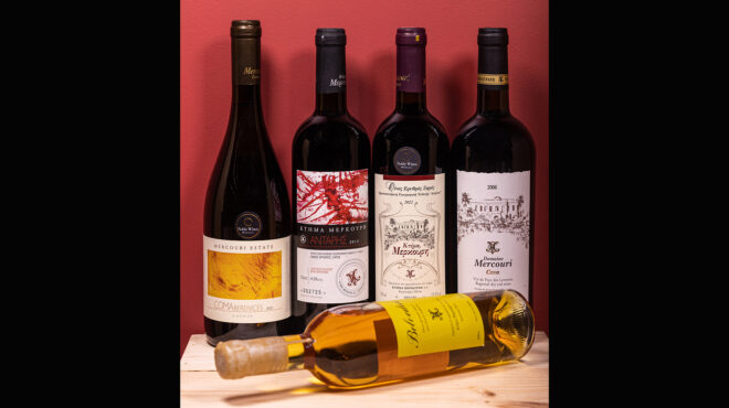 εξόρμηση-στο-πανέμορφο-κτήμα-μερκούρ-563499664