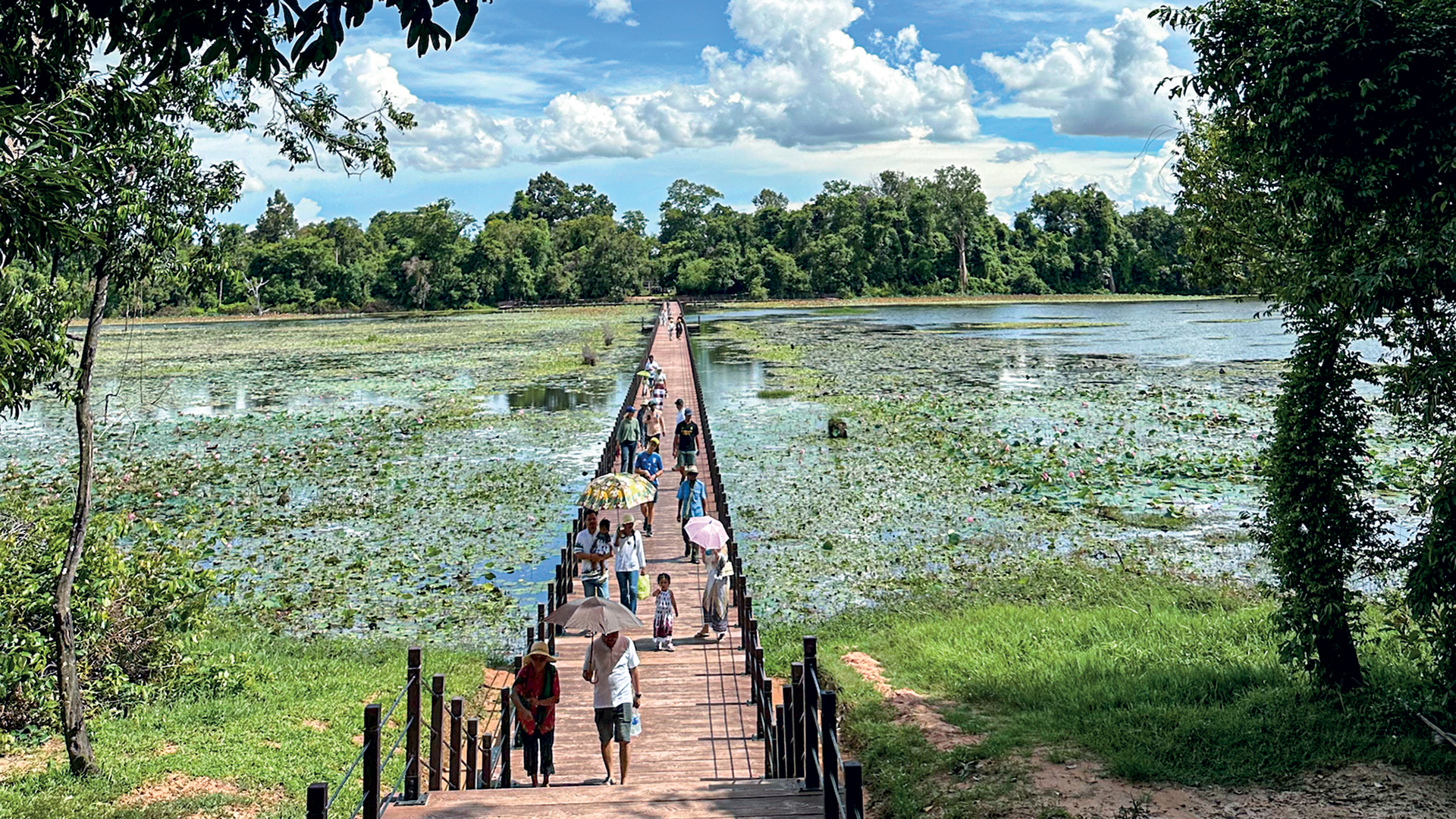 Σταύρο Αρβανίτη Evans, τι γεύση έχουν οι ακρίδες;-1