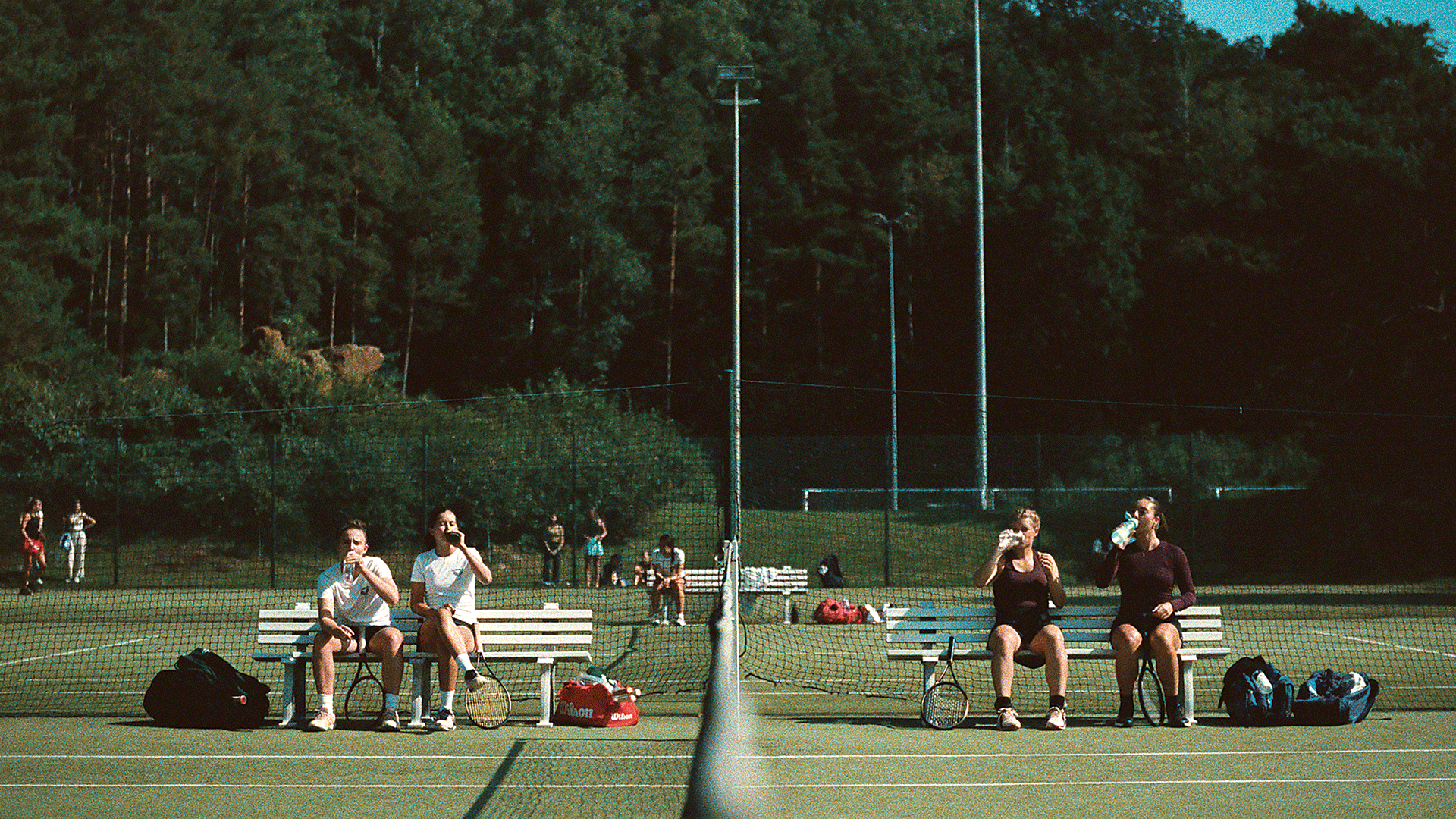 λεονάρντο-βαν-ντιλ-στην-κ-εμπνευσή-μ-563495254
