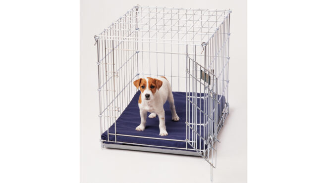 τι-είναι-τα-fur-babies-και-πώς-θα-τα-πάρετε-μαζί-σ-563512579