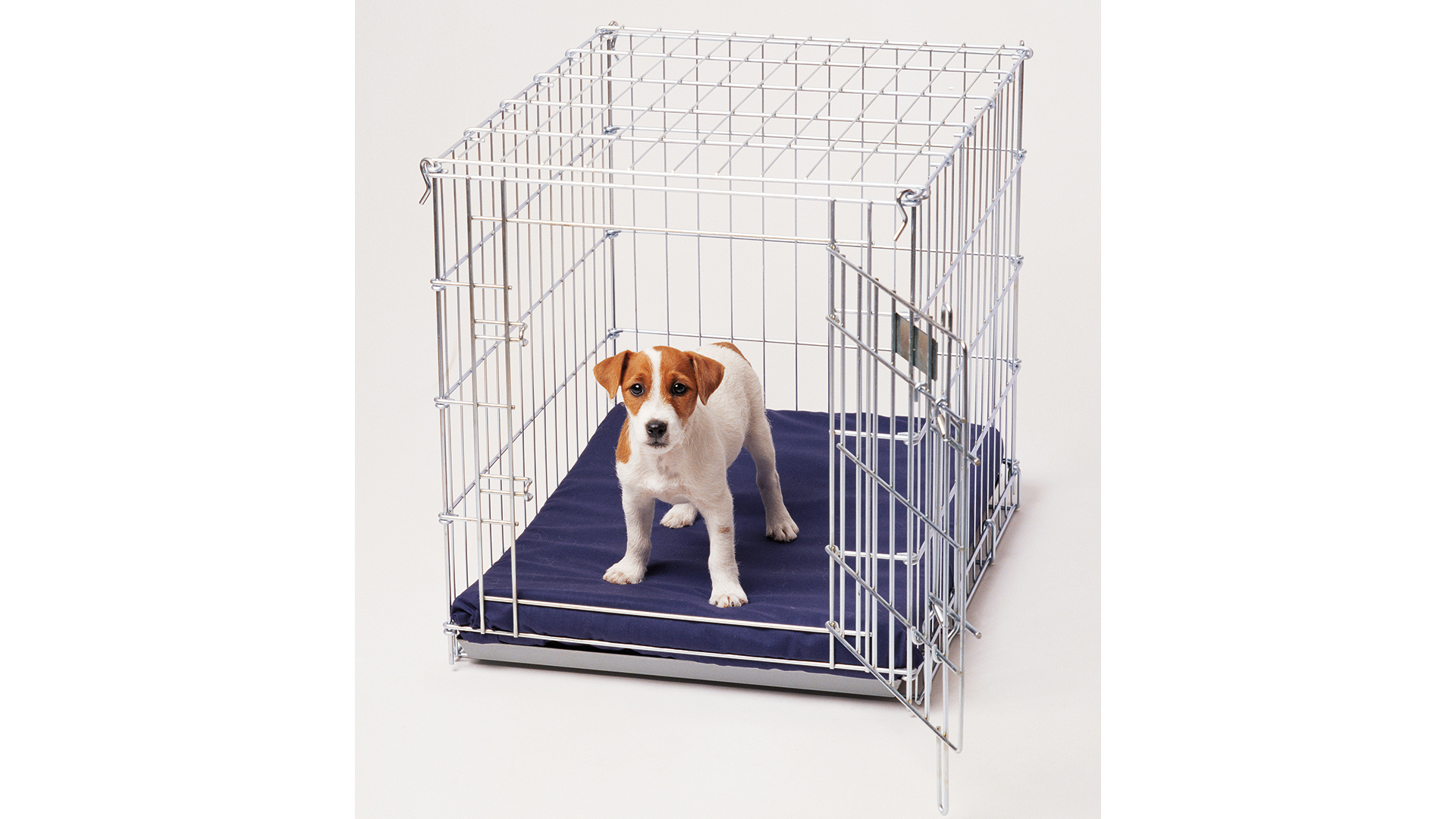 τι-είναι-τα-fur-babies-και-πώς-θα-τα-πάρετε-μαζί-σ-563512579