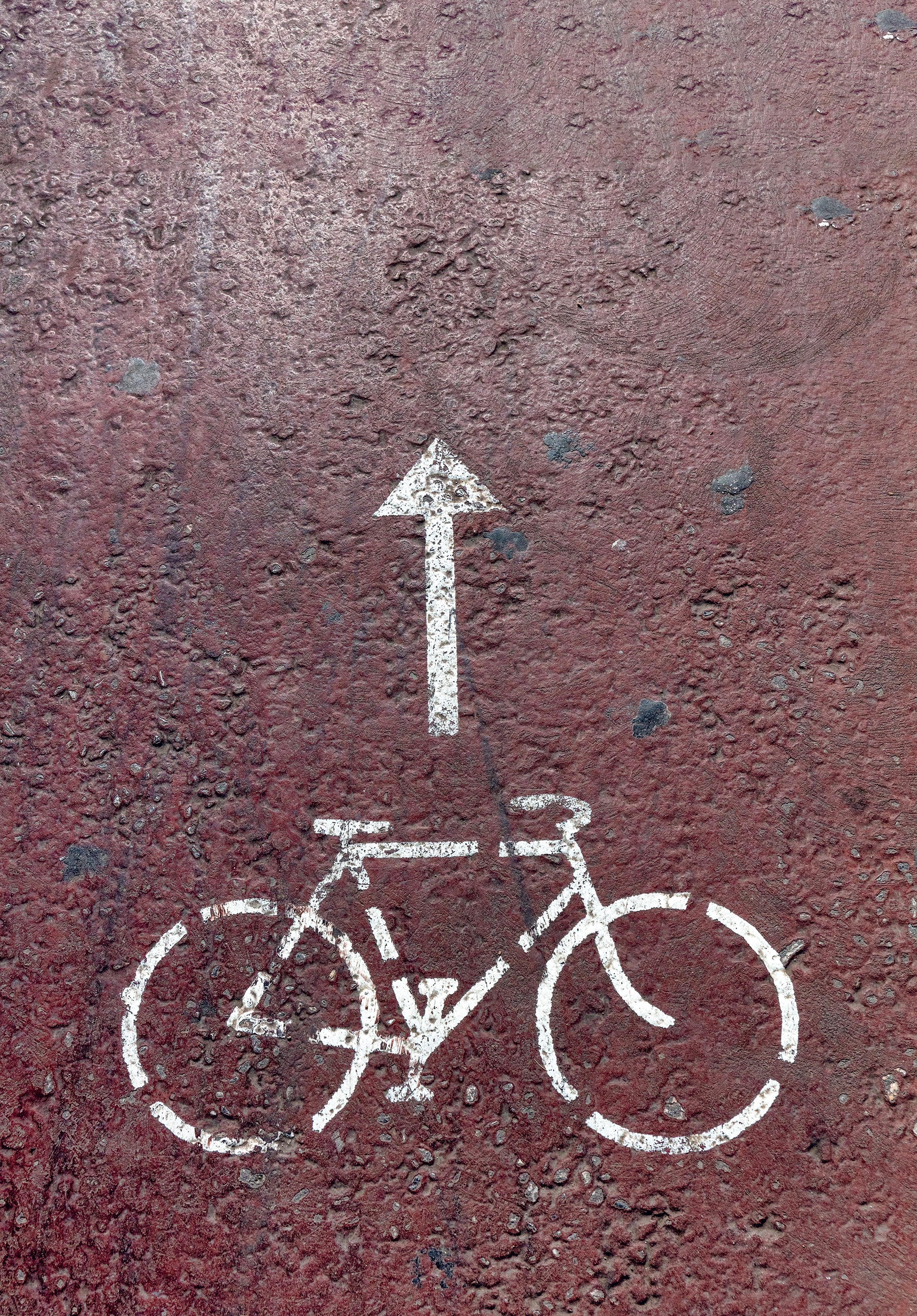 Εξερευνώντας τα «πράσινα» μυστικά του Ιλισού-1