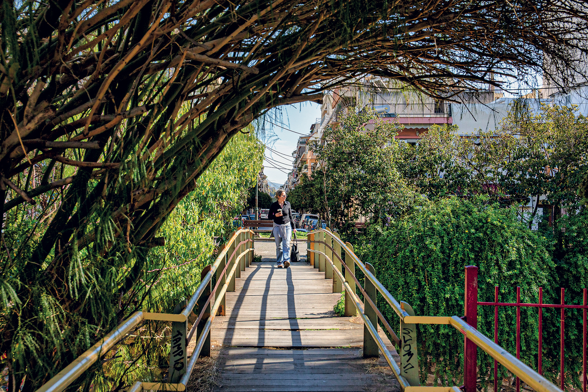 Εξερευνώντας τα «πράσινα» μυστικά του Ιλισού-5