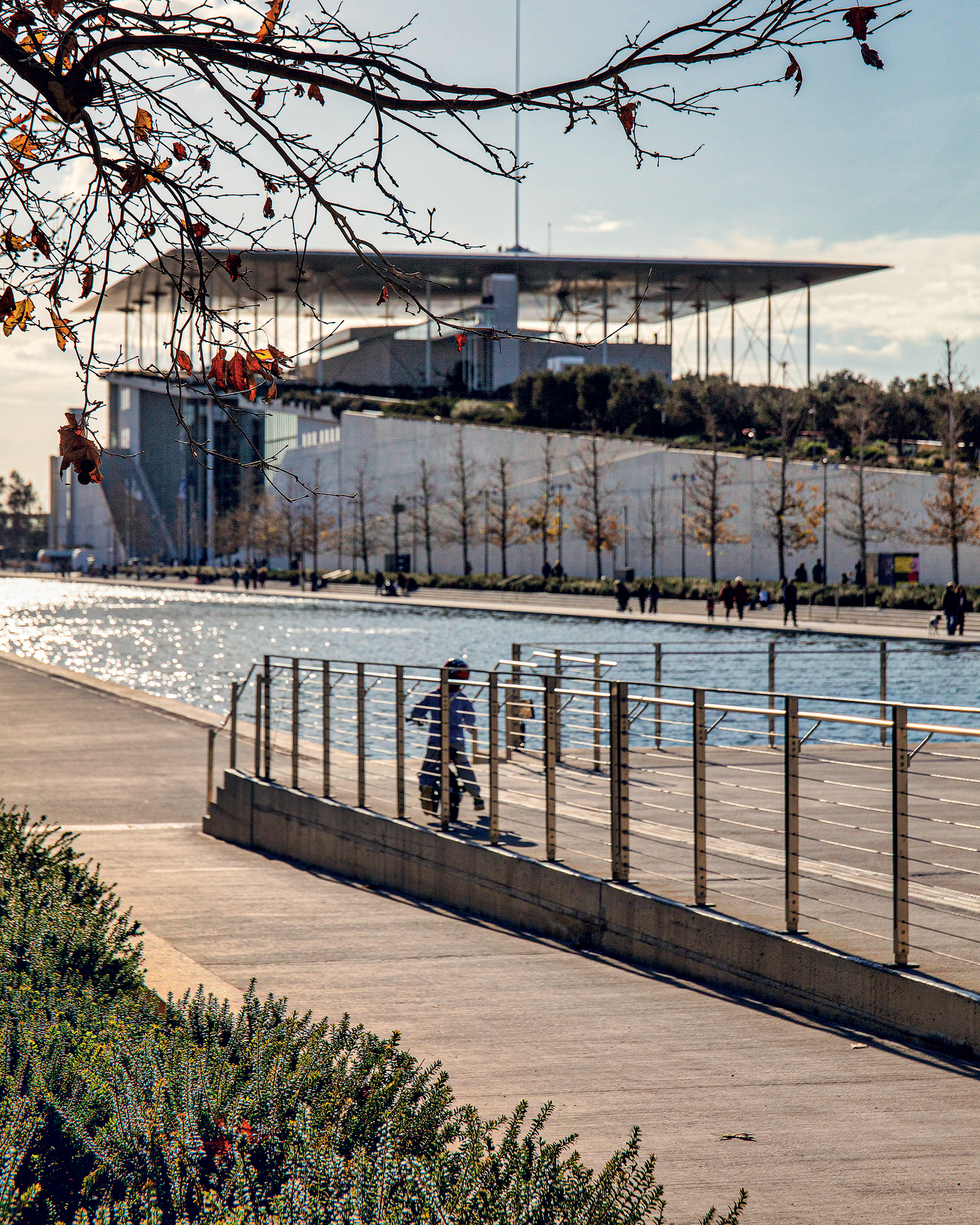 Εξερευνώντας τα «πράσινα» μυστικά του Ιλισού-6