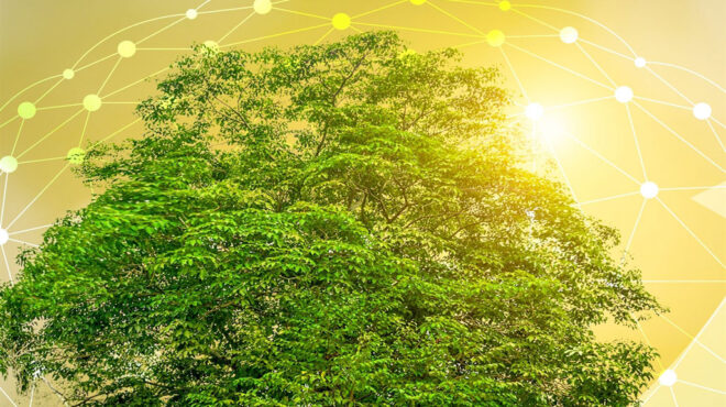 η-κλιματική-αλλαγή-και-οι-προκλήσεις-τ-563538847