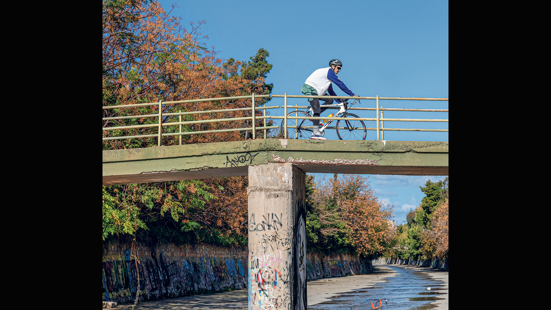 εξερευνώντας-τα-πράσινα-μυστικά-το-563532901