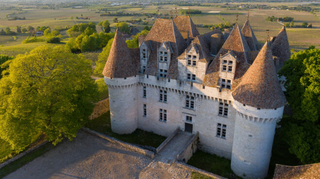 το-μέλλον-του-κρασιού-πράσινος-τρύγ-563520811