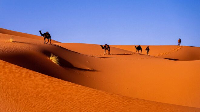 περπατώντας-100-χιλιόμετρα-στην-έρημο-γι-563512183