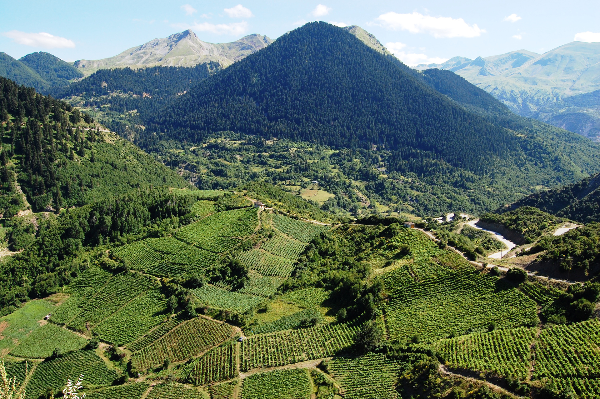 Τριάντα χρόνια συνεργασίας-4