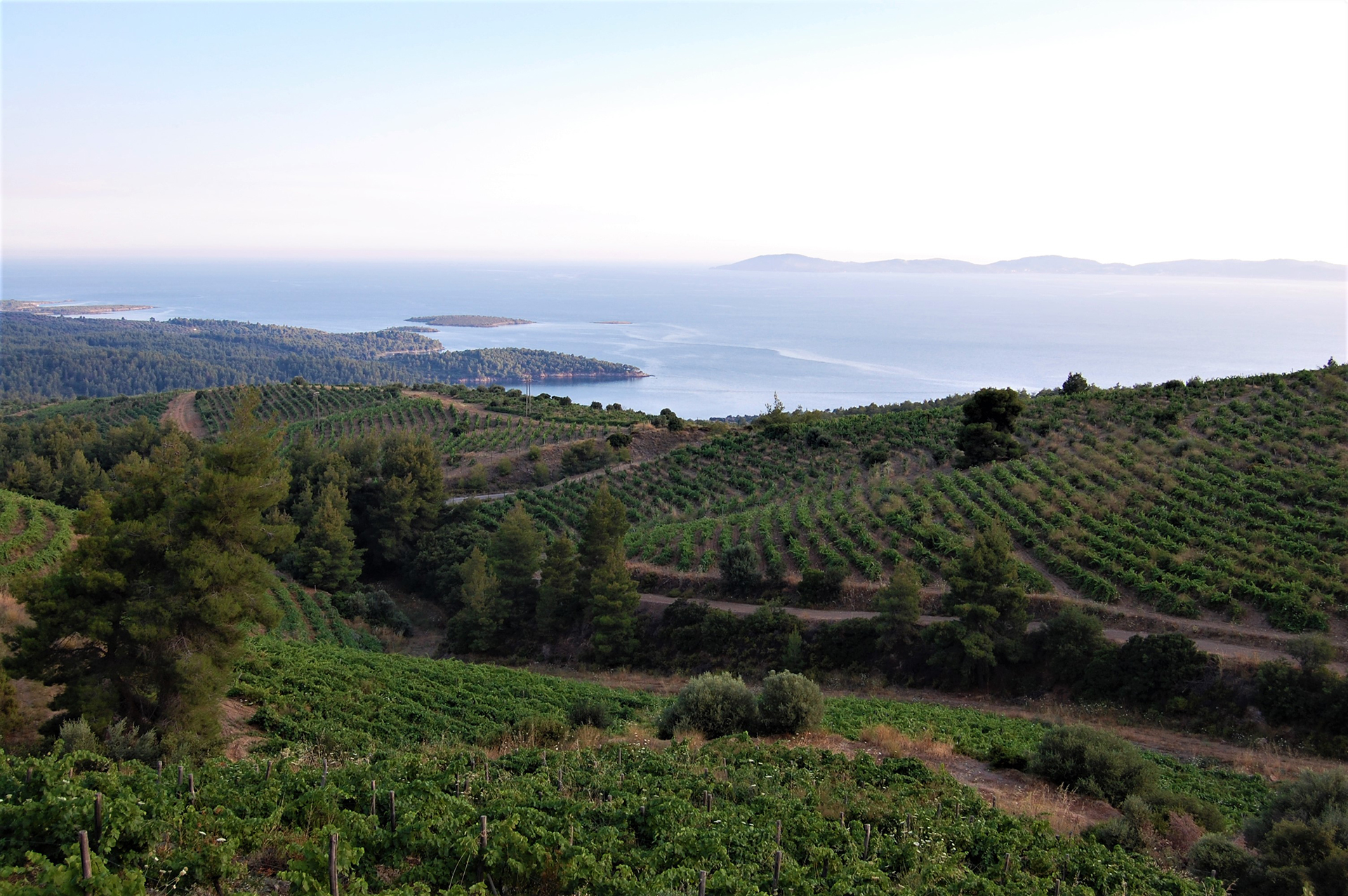 Τριάντα χρόνια συνεργασίας-5