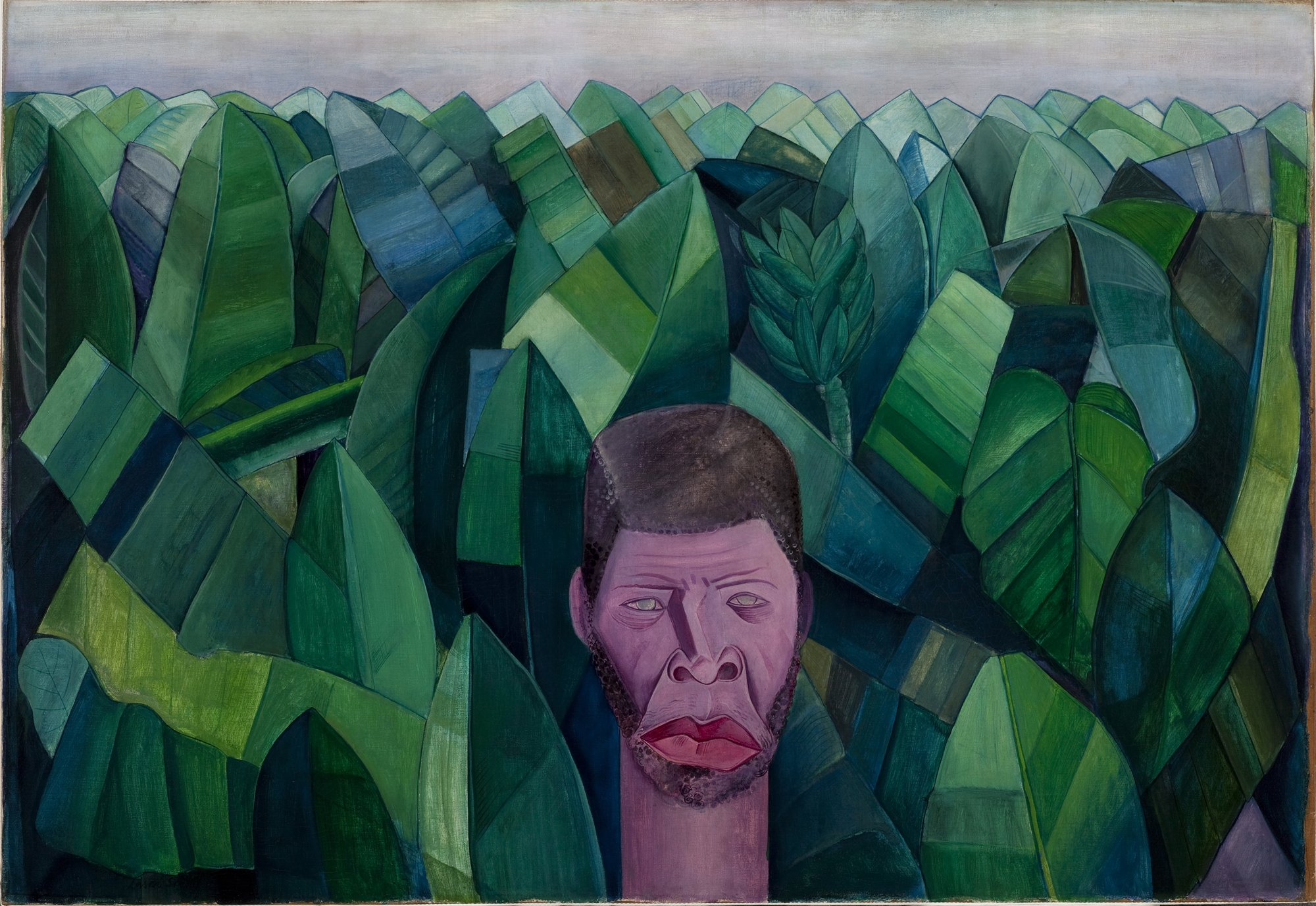 Αντιθέσεις του βραζιλιάνικου μοντερνισμού-1