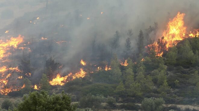 φωτιά-στα-καλάβρυτα-σε-δασική-έκταση-σ-563529520
