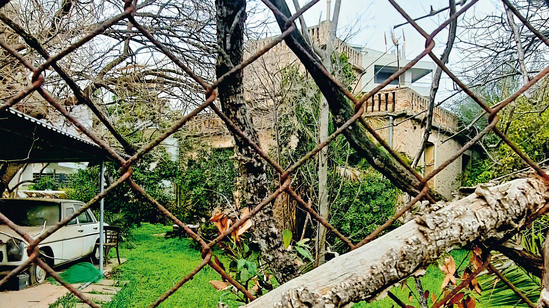 οι-τελευταίες-μονοκατοικίες-του-χολα-563503477