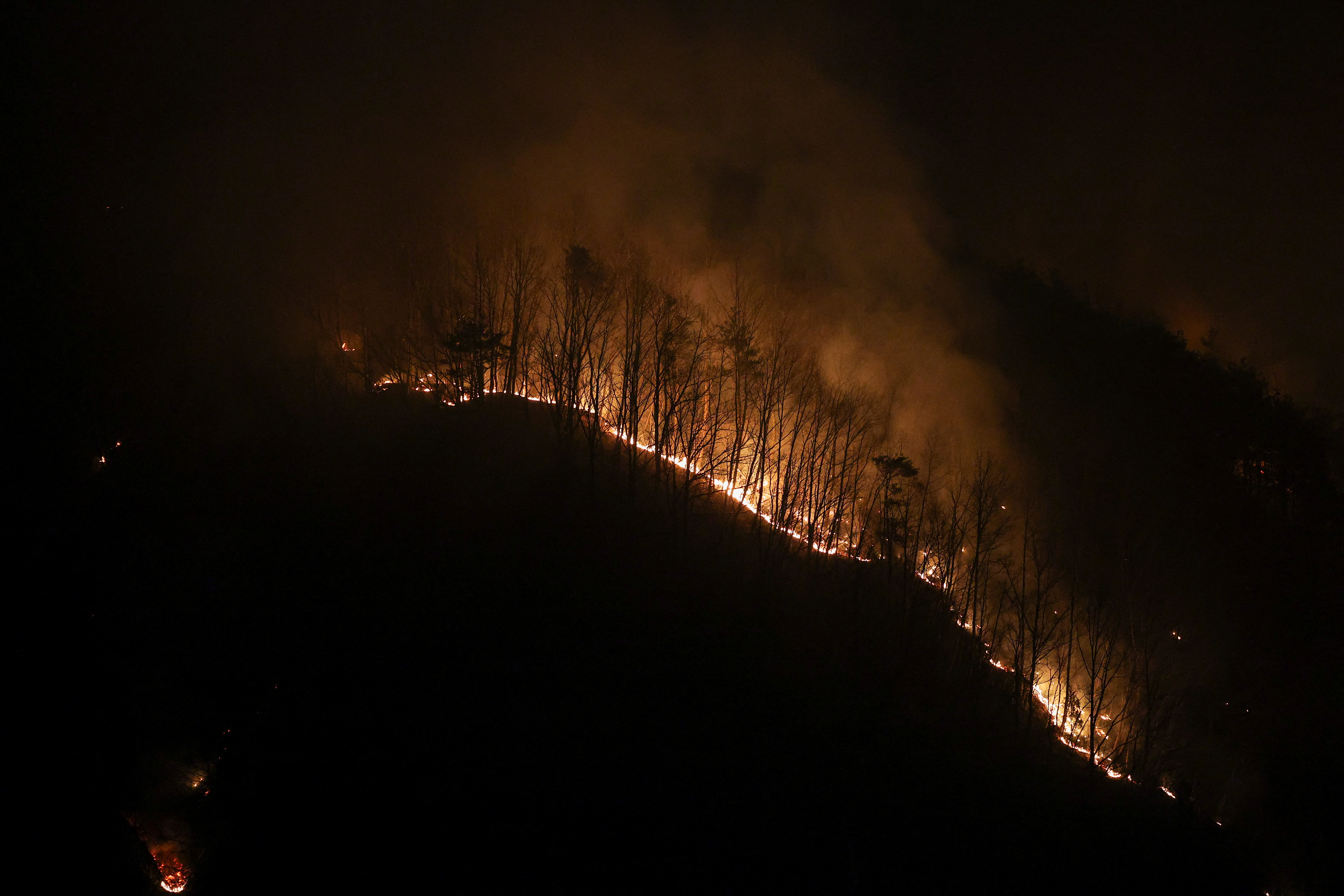 Νότια Κορέα: Στους 24 οι νεκροί από τις δασικές πυρκαγιές-1