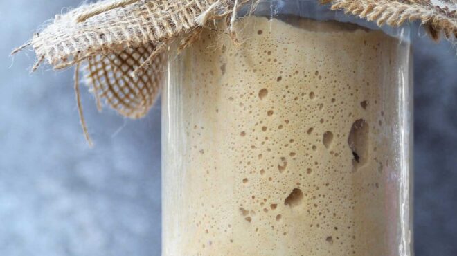 προζύμι-αργής-ωρίμανσης-563495164