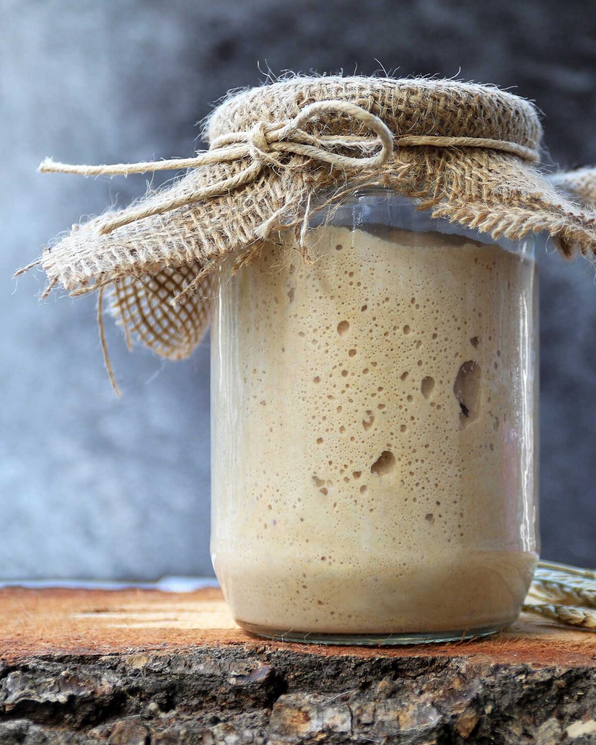 προζύμι-αργής-ωρίμανσης-563495164