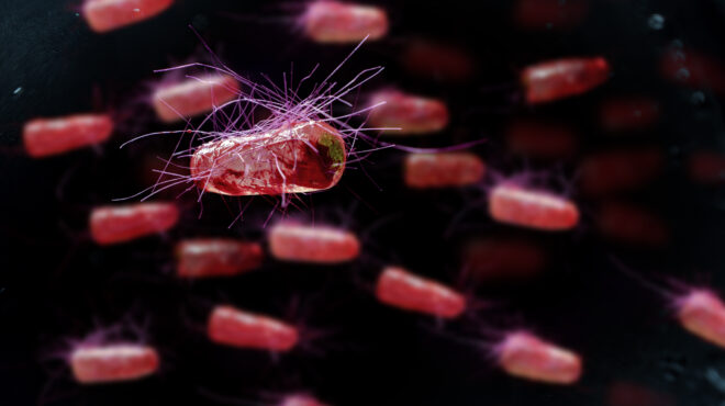 ολο-και-πιο-ανθεκτικά-τα-βακτήρια-που-π-563501527