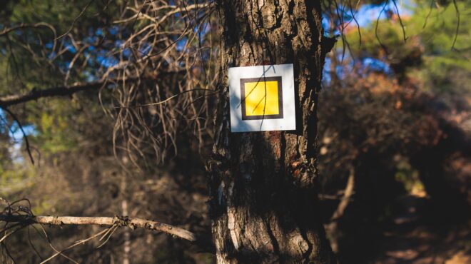 το-κλιματικό-στρες-νεκρώνει-τα-δέντ-563503912