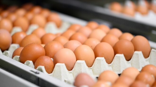 ηπα-εκκληση-για-αυγά-από-άλλες-χώρες-ώσ-563515171