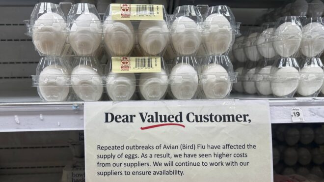 γρίπη-των-πτηνών-στις-ηπα-μετά-τη-γρο-563514775