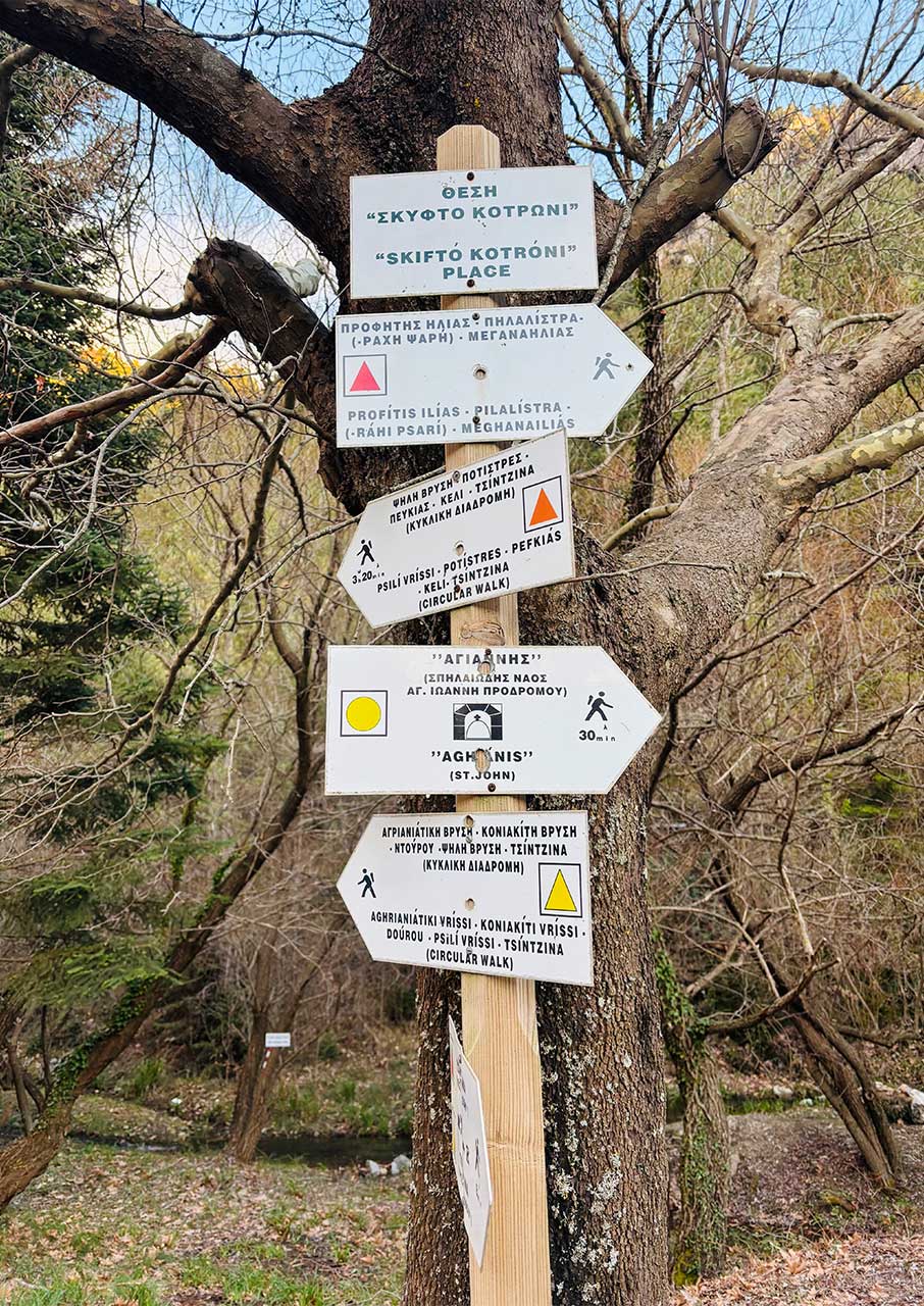 Γιατί αγάπησα τα Τσίντζινα-1